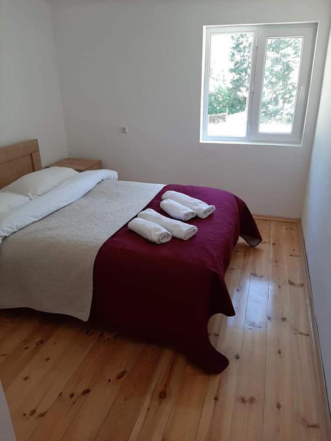 Guesthouse Gama In Khevsureti Roshka Екстериор снимка