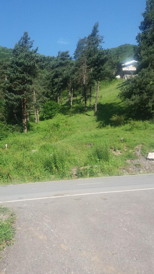 Guesthouse Gama In Khevsureti Roshka Екстериор снимка