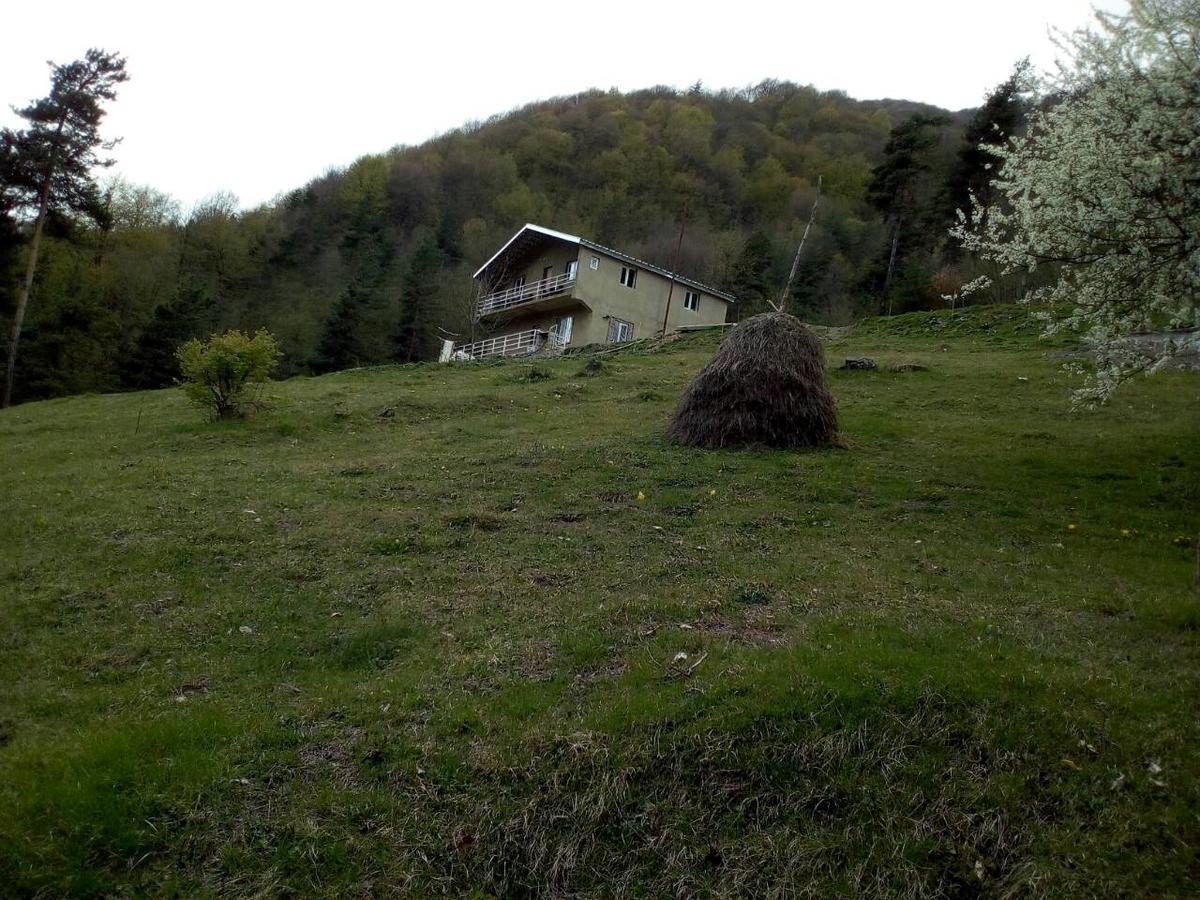 Guesthouse Gama In Khevsureti Roshka Екстериор снимка