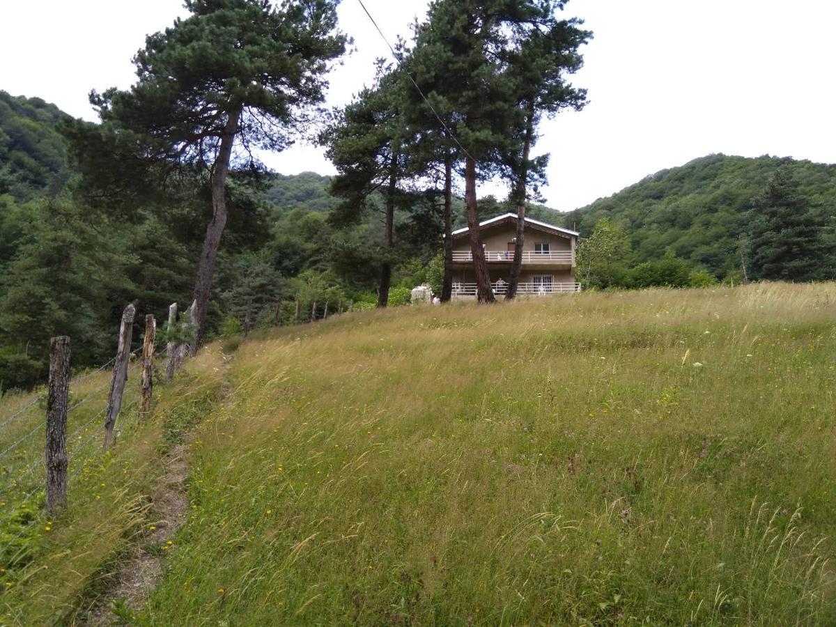 Guesthouse Gama In Khevsureti Roshka Екстериор снимка